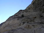 Бахчисарай: 
куст на скале